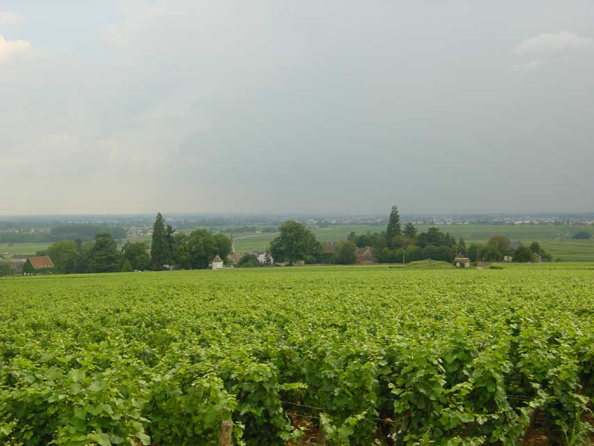 la villa louise et Aloxe-Corton